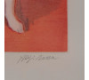 Andromeda