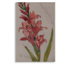 Gladiol