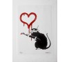 Rat heart