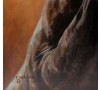 Portrét koně - Černá perla