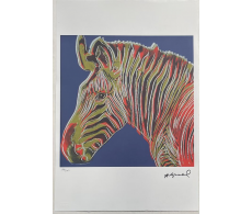 Zebra
