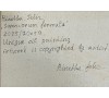 Somniorum formula